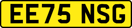 EE75NSG