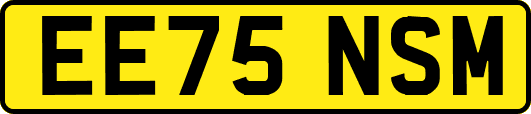 EE75NSM