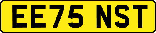 EE75NST