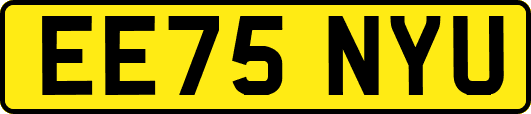 EE75NYU