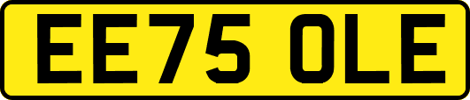 EE75OLE