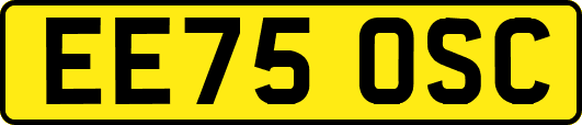 EE75OSC
