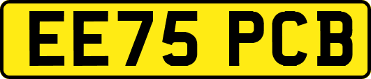 EE75PCB