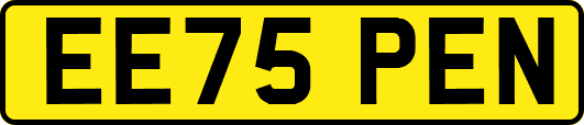 EE75PEN