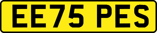 EE75PES