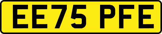 EE75PFE