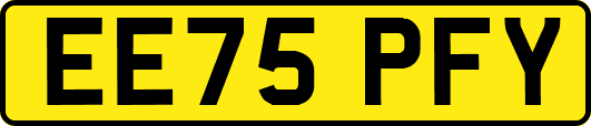 EE75PFY