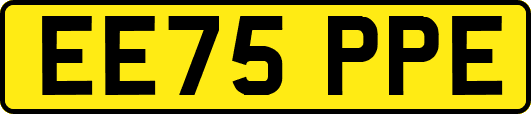 EE75PPE