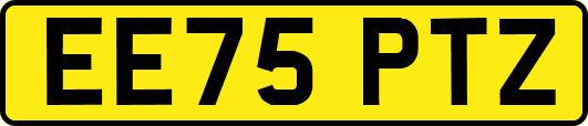 EE75PTZ