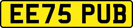 EE75PUB