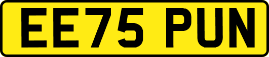 EE75PUN