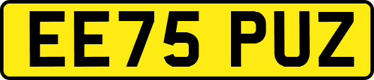 EE75PUZ