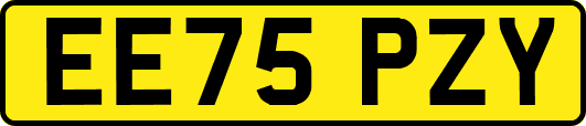 EE75PZY