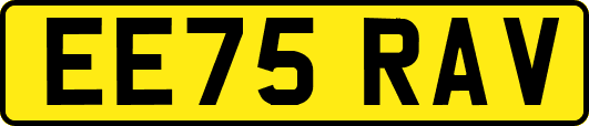 EE75RAV