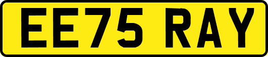 EE75RAY