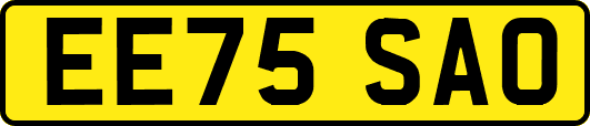 EE75SAO