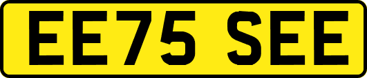 EE75SEE