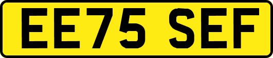 EE75SEF