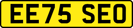 EE75SEO