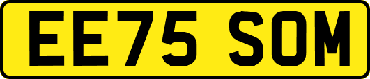 EE75SOM