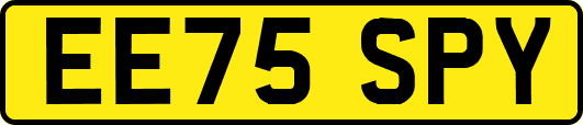 EE75SPY
