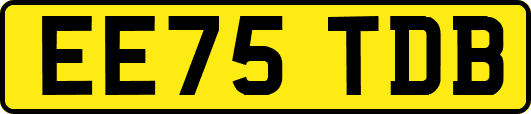EE75TDB