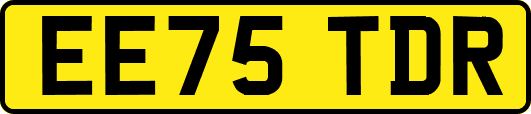 EE75TDR