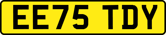 EE75TDY