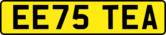EE75TEA