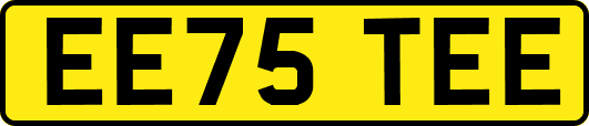 EE75TEE