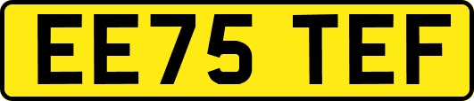 EE75TEF