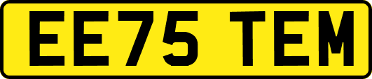 EE75TEM