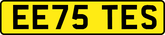EE75TES
