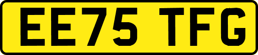 EE75TFG