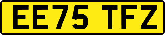 EE75TFZ