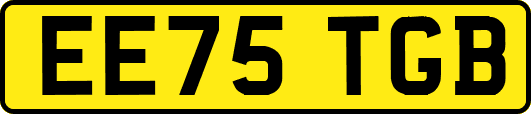 EE75TGB
