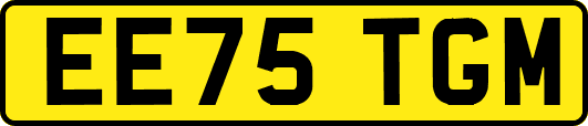 EE75TGM