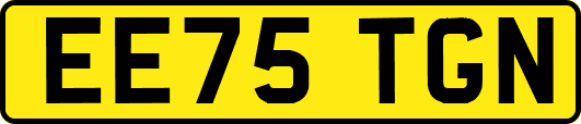 EE75TGN