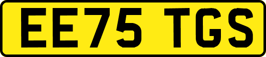 EE75TGS
