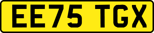 EE75TGX