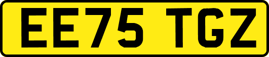 EE75TGZ