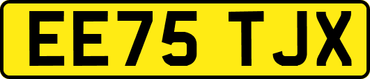 EE75TJX