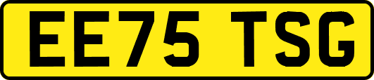 EE75TSG