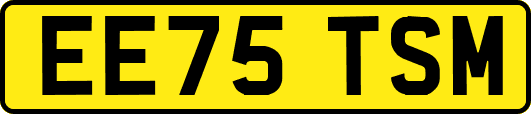 EE75TSM