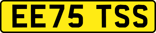 EE75TSS