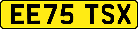 EE75TSX