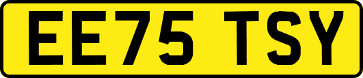 EE75TSY