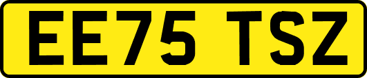 EE75TSZ