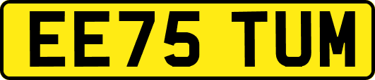 EE75TUM