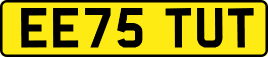 EE75TUT